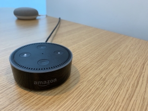 Turning web forms into Alexa skills